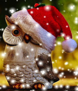 Holiday Owl 2018